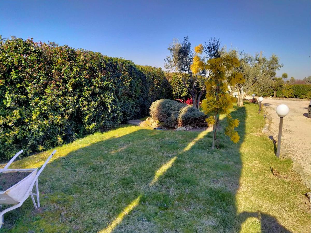 La Perla Di Assisi Hotel Kültér fotó