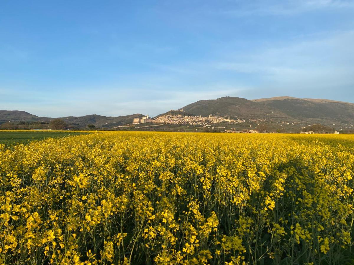 La Perla Di Assisi Hotel Kültér fotó