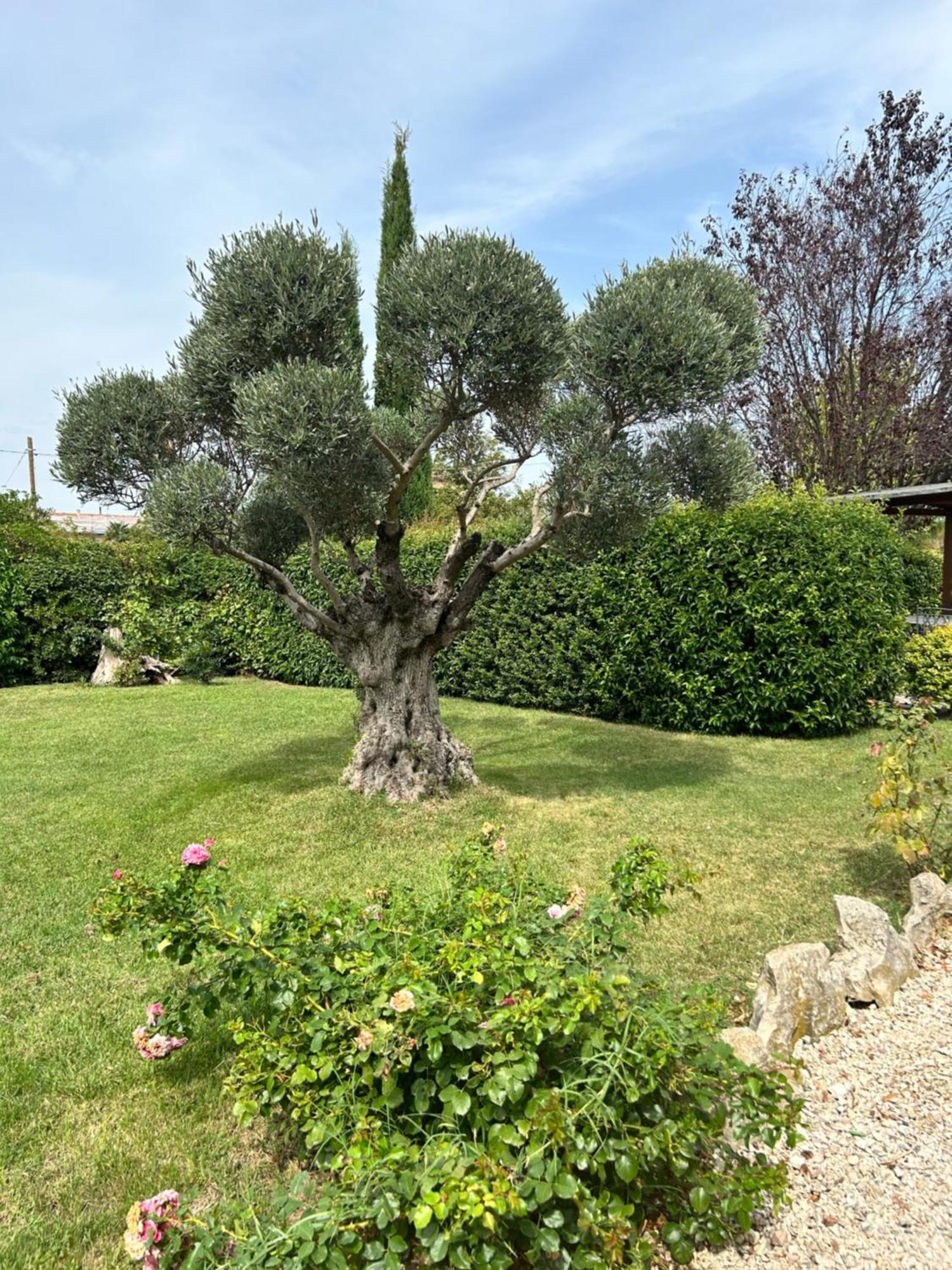 La Perla Di Assisi Hotel Kültér fotó