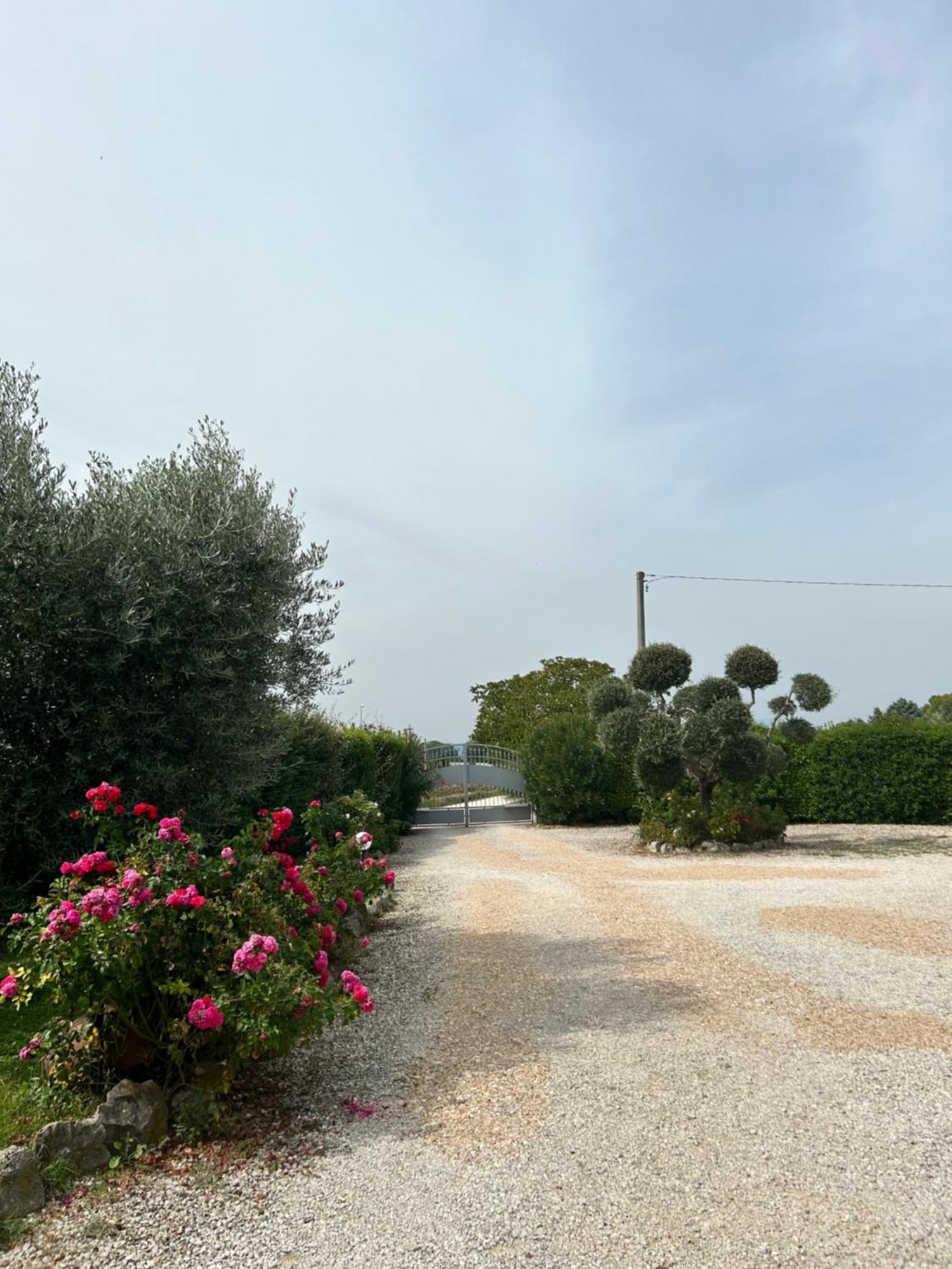 La Perla Di Assisi Hotel Kültér fotó